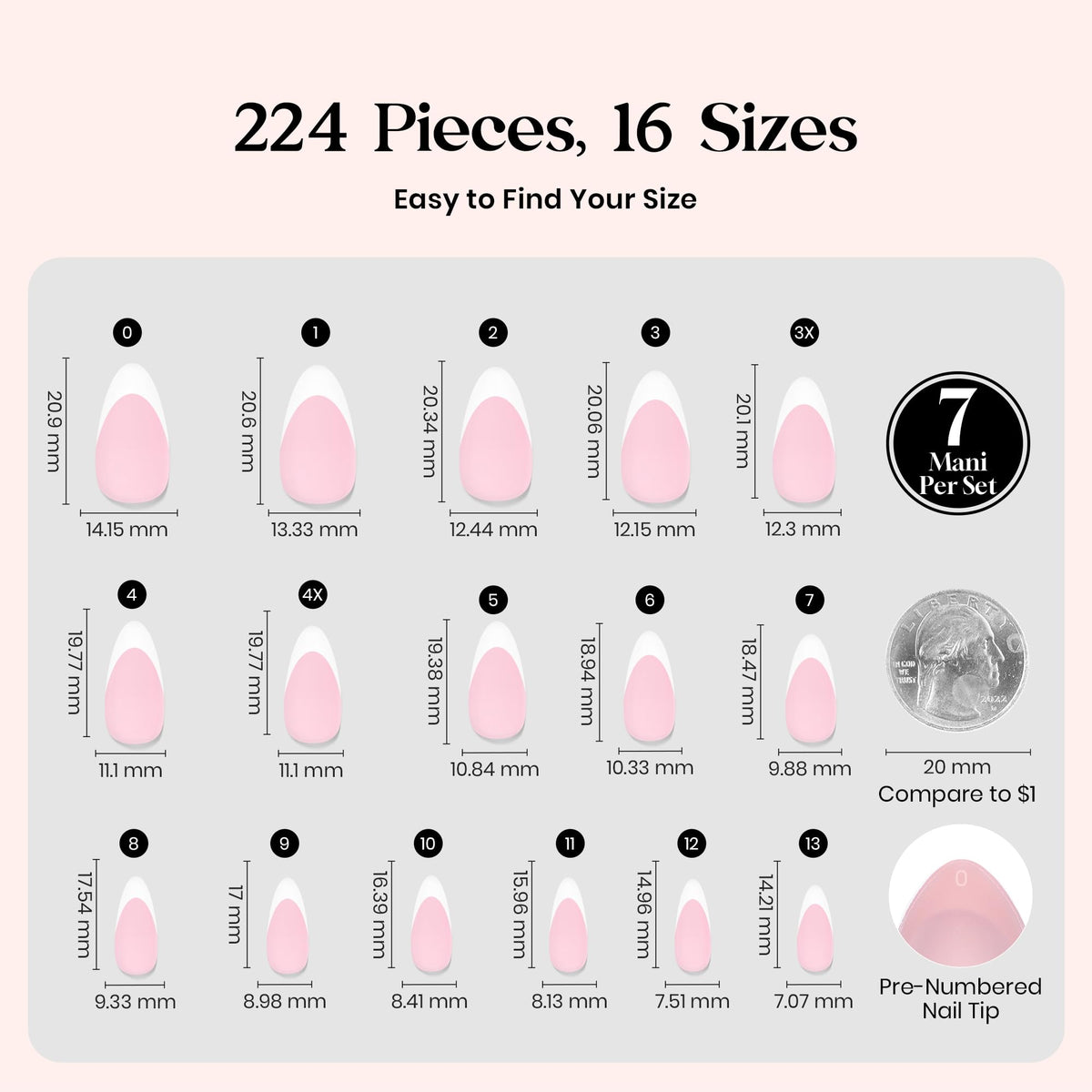 beetles spread of 16 numbered sizes for fast selection