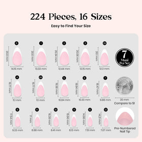 beetles spread of 16 numbered sizes for fast selection