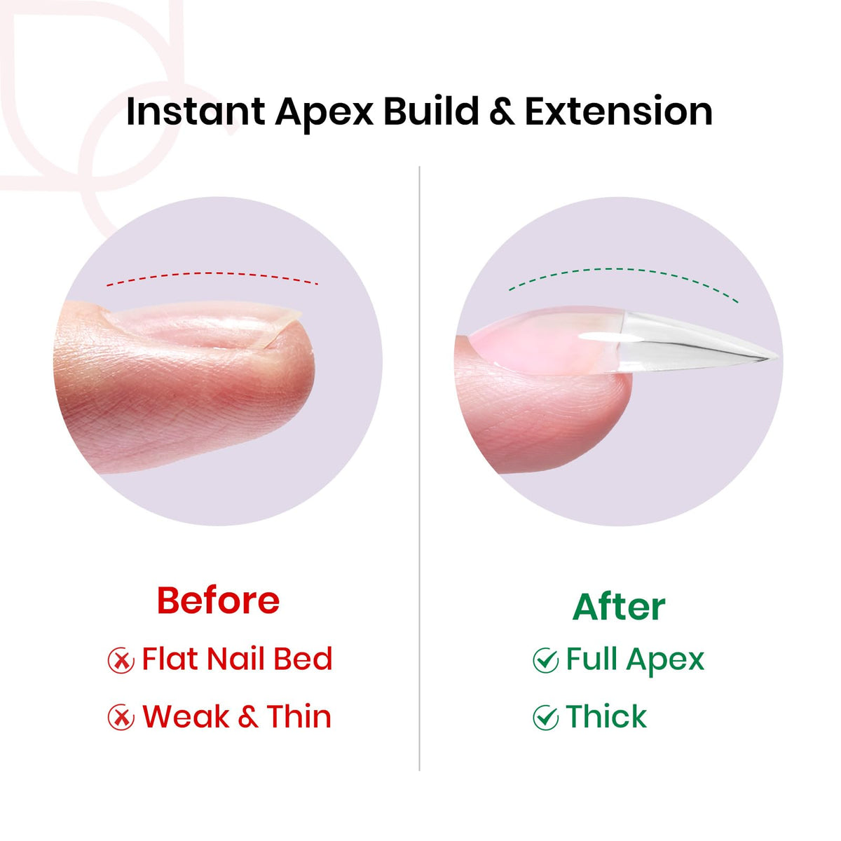 beetles close-up apex detail demonstrating built-in volume for durable shape