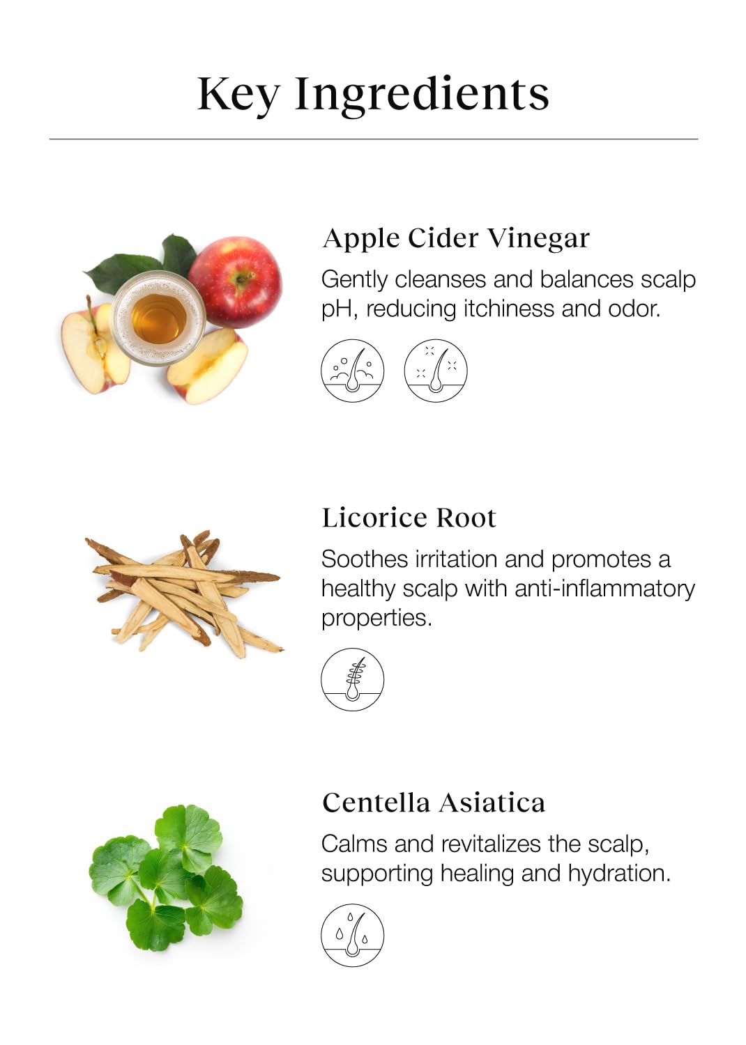 Apple cider vinegar and herbs highlighting Bephor ingredient clarity