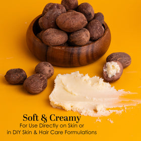 Better Shea Butter close-up texture showing creamy grain for easy absorption benefit