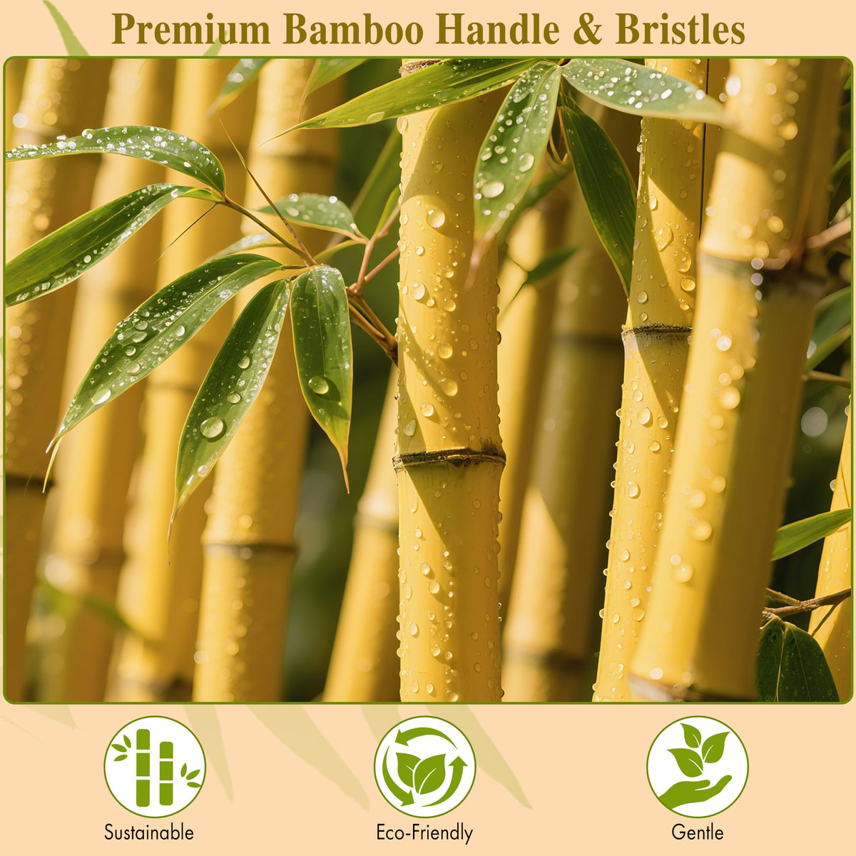 BFWood ergonomic bamboo handle close-up showing comfortable grip benefit