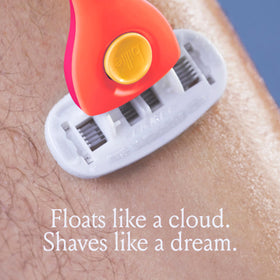 Billie shave kit contents laid out showing handle, two refill cartridges, and holder