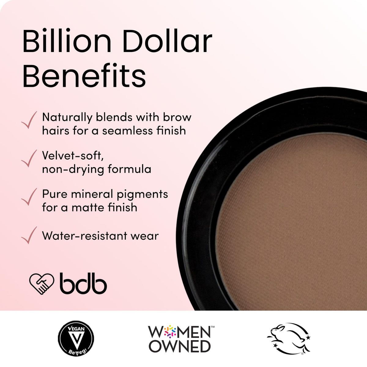 billion dollar brows applying blonde powder with angled brush for definition