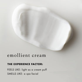 Bioelements ingredients shot highlighting dimethicone and adaptogenic herbs benefits