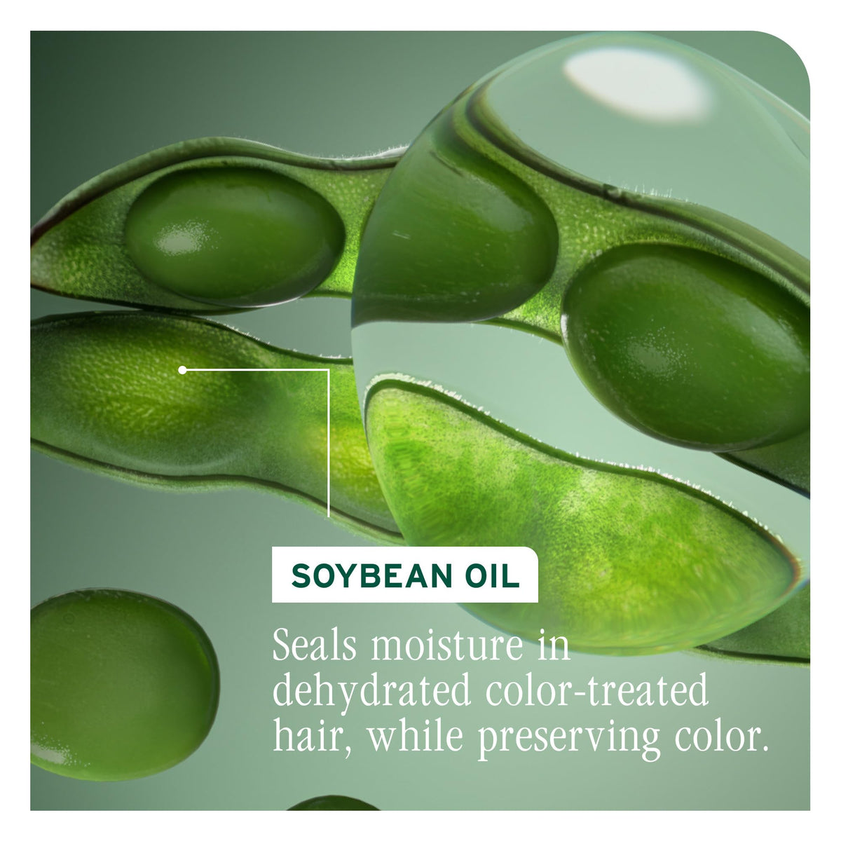 Biolage before and after photos showing improved color shine