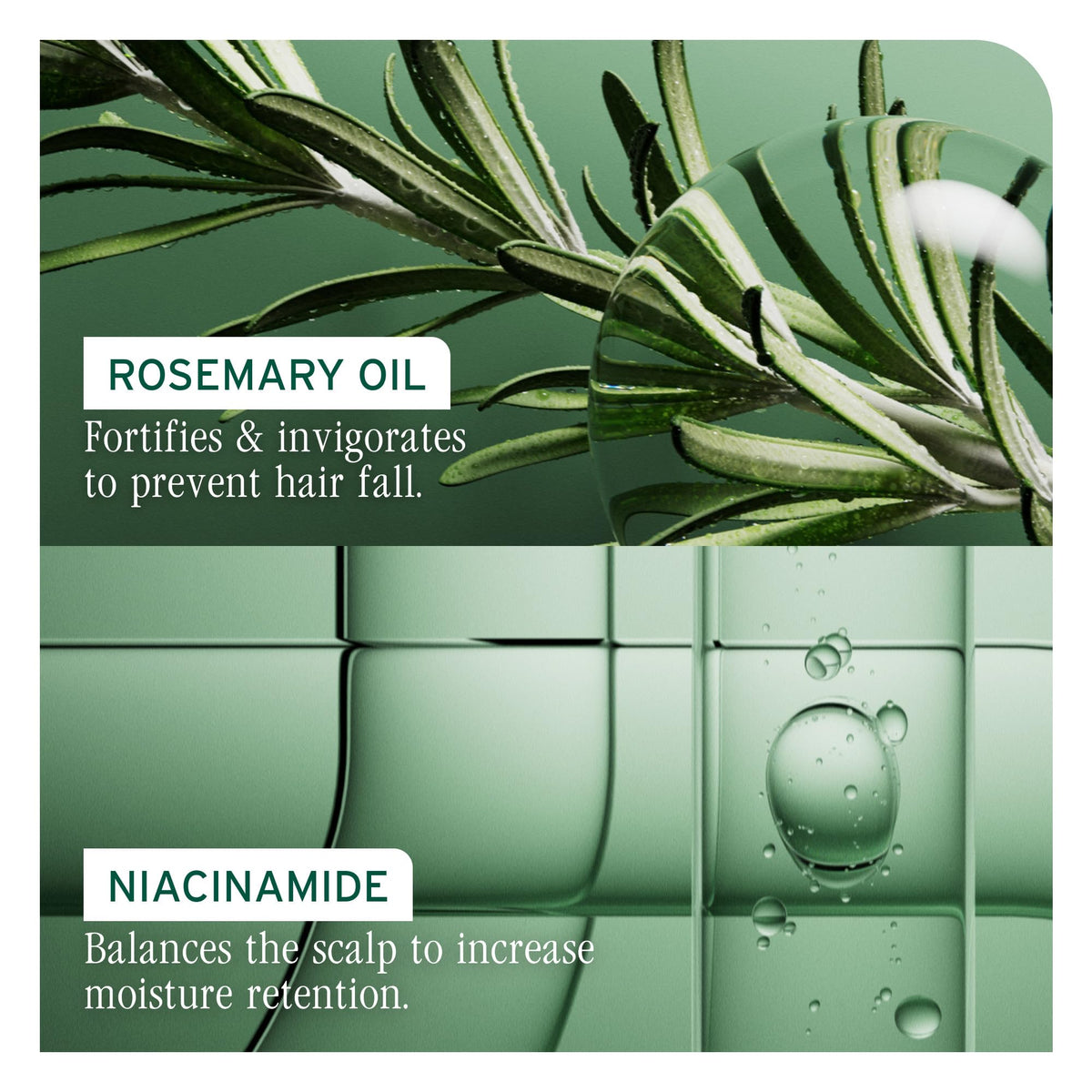 Biolage full rescue rosemary ingredient closeup highlighting natural fortifying benefit