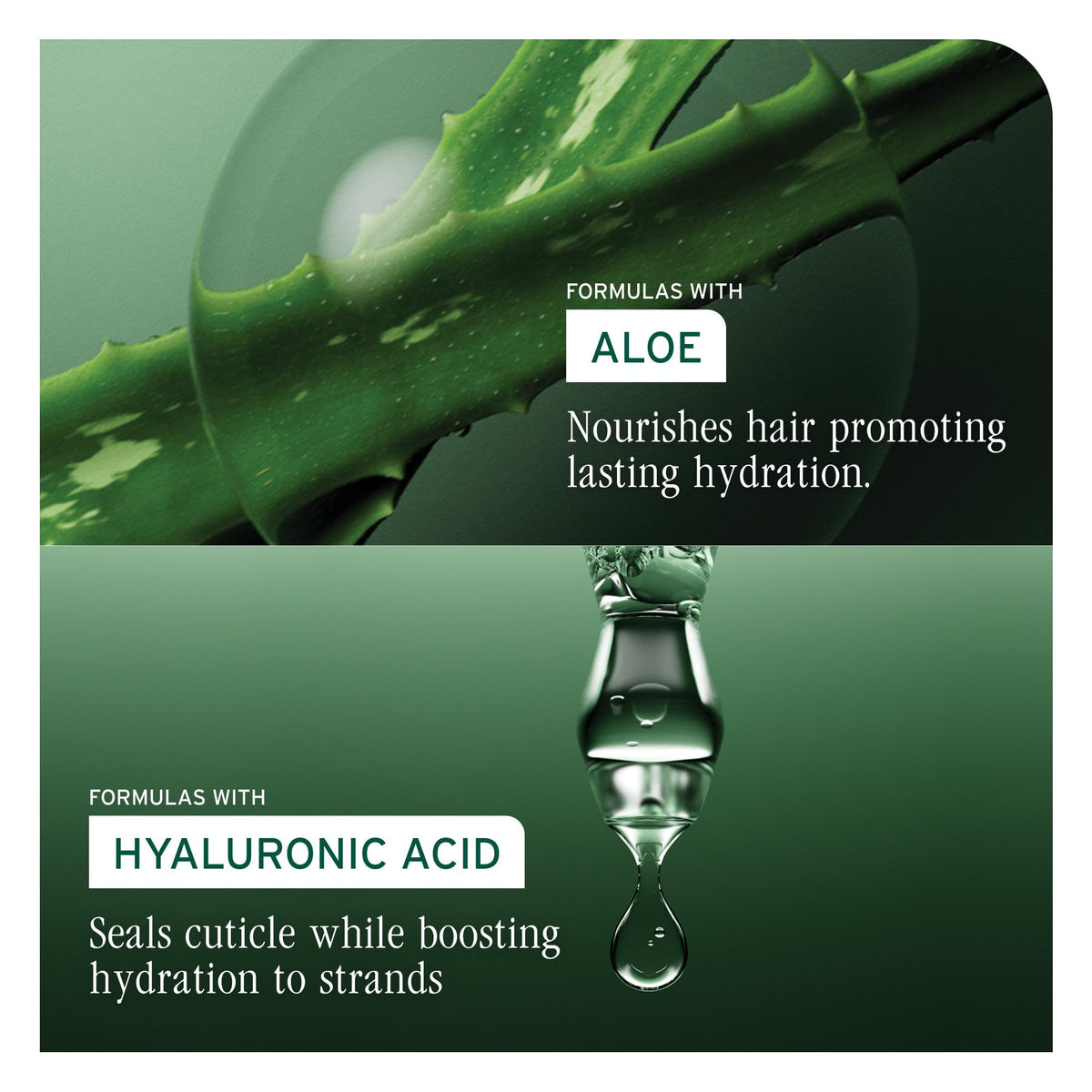 Biolage bottle held in hand to demonstrate the 16.9 fl oz scale
