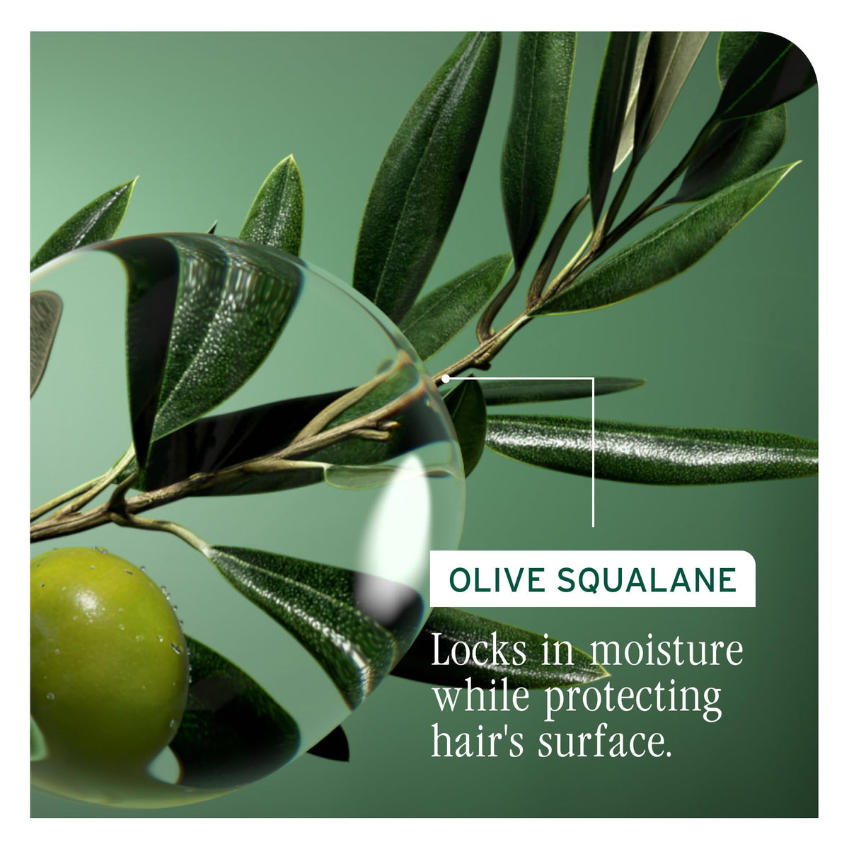 Biolage vegan proteins ingredient visual strengthening strands
