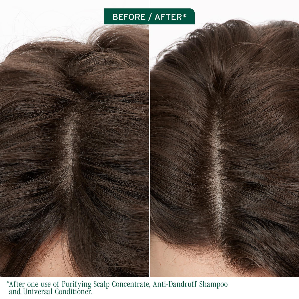 Biolage back label close-up displaying ingredients and usage benefits