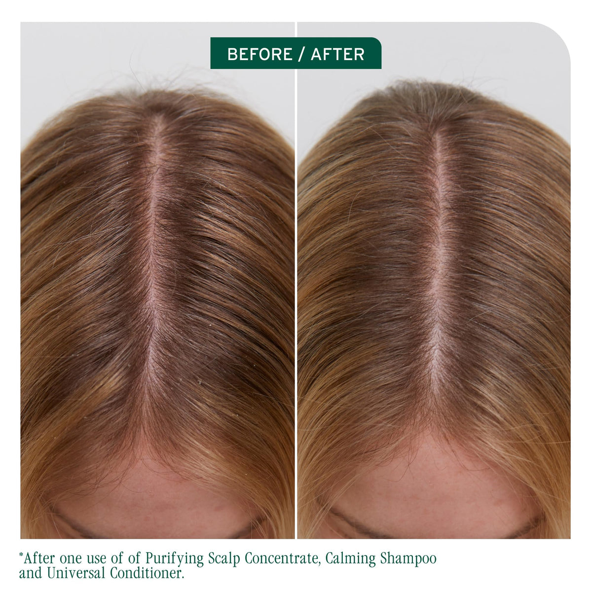 Biolage conditioner pump dispenser ready to use, shows easy dispensing benefit