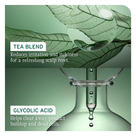 Biolage mint leaf ingredient image showing calming benefit