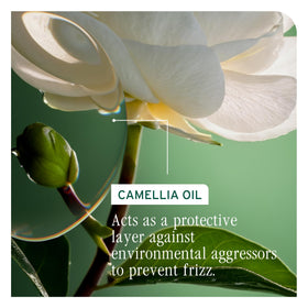 Biolage bottle beside camellia flower highlighting botanical smoothing oil