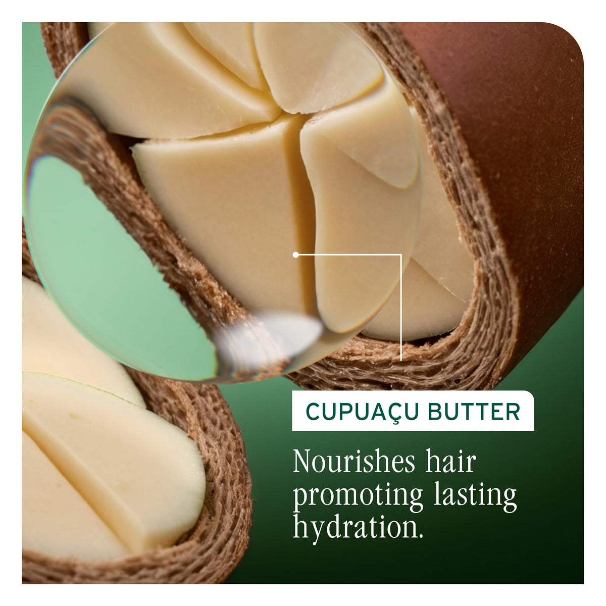 Biolage conditioner bottle in hand showing scale and generous salon-size volume for regular use