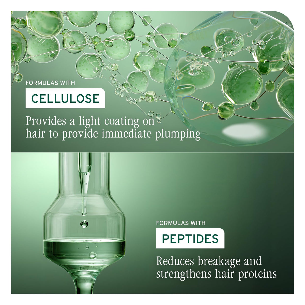 Biolage cellulose and peptides ingredient concentrate delivering plumpness