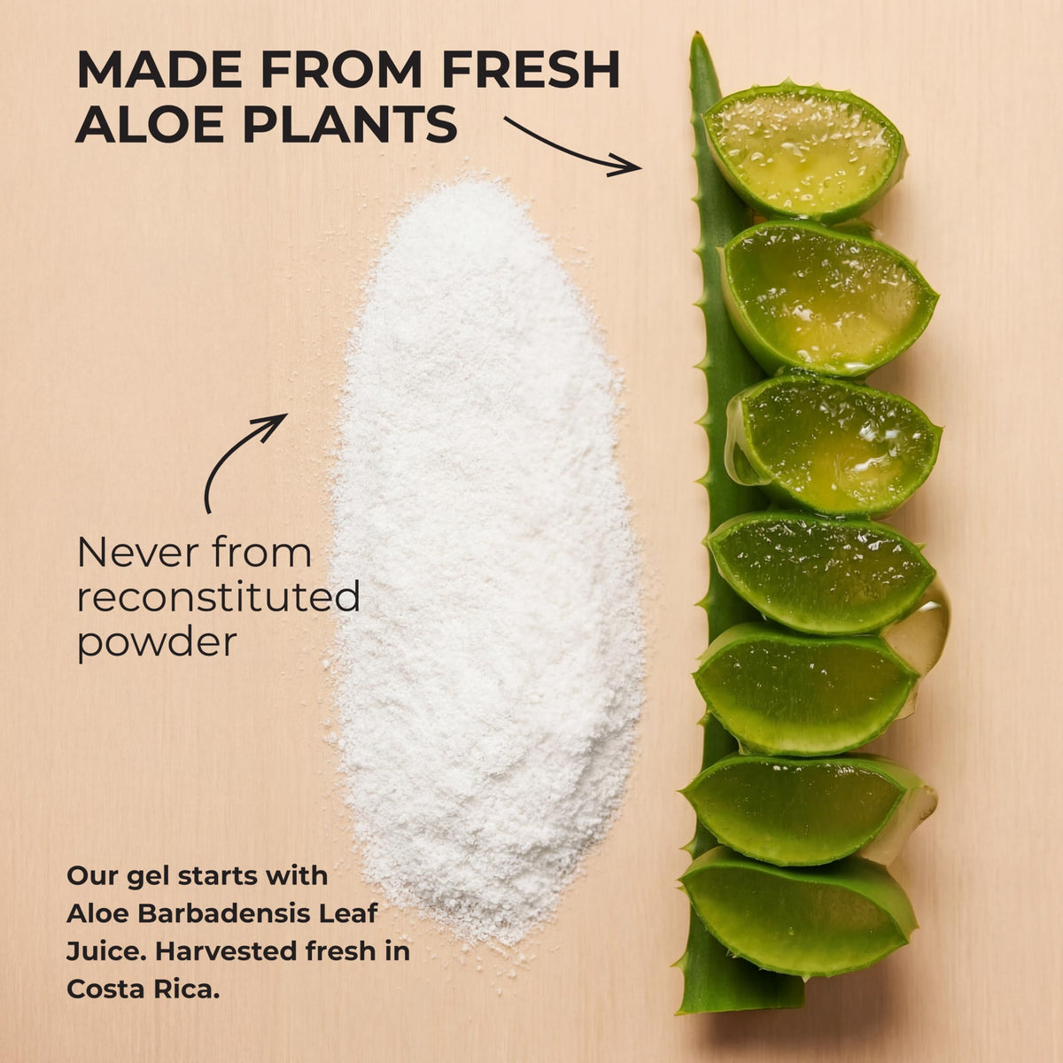 Bioland aloe vera gel label ingredients close-up listing cold-processed and clean formula
