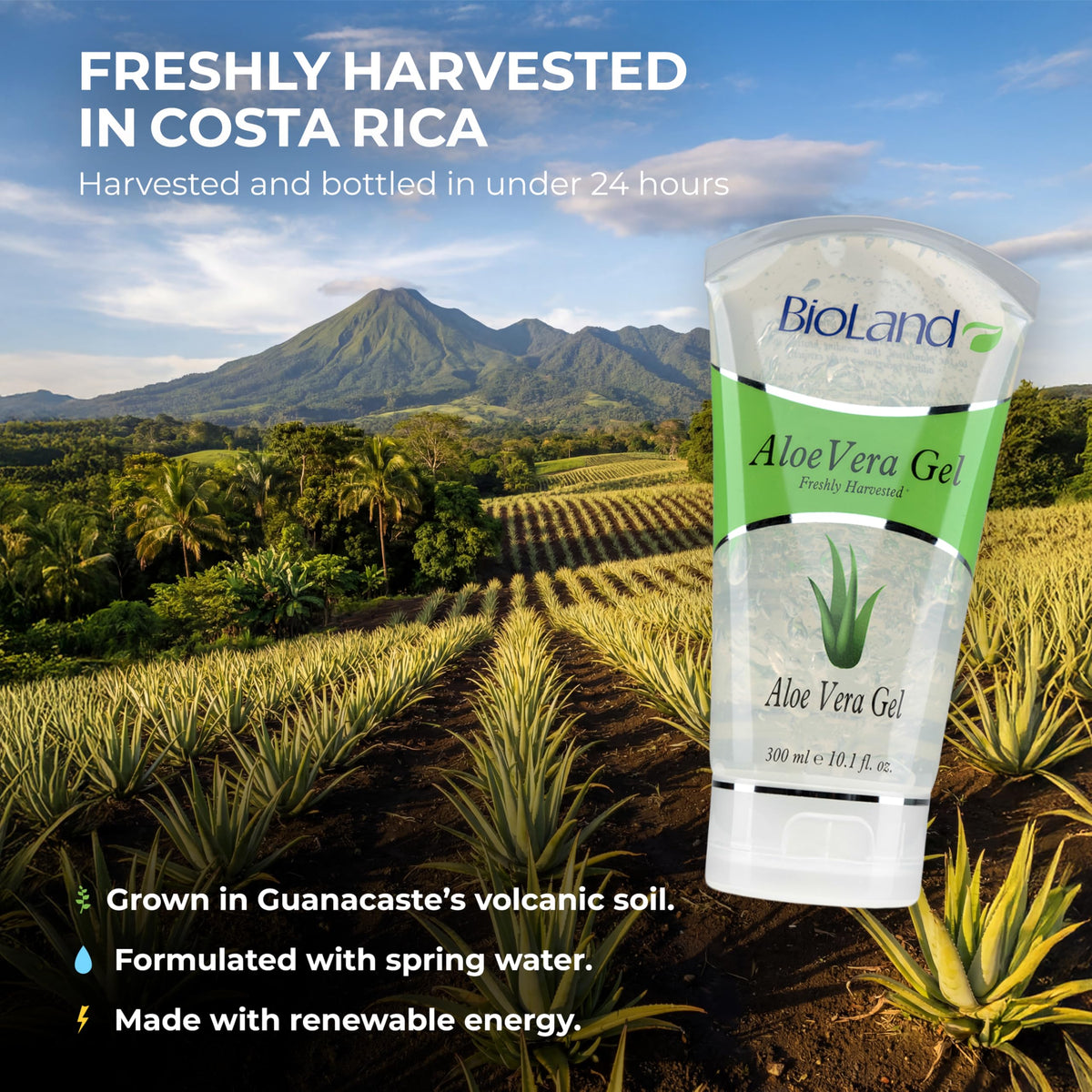 Bioland aloe vera gel pump dispense showing easy application and controlled amount