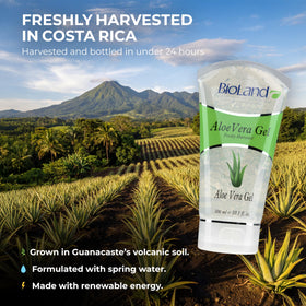 Bioland aloe vera gel pump dispense showing easy application and controlled amount