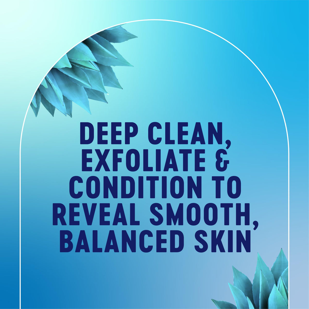 Bioré label highlighting Blue Agave and pH-balanced formulation