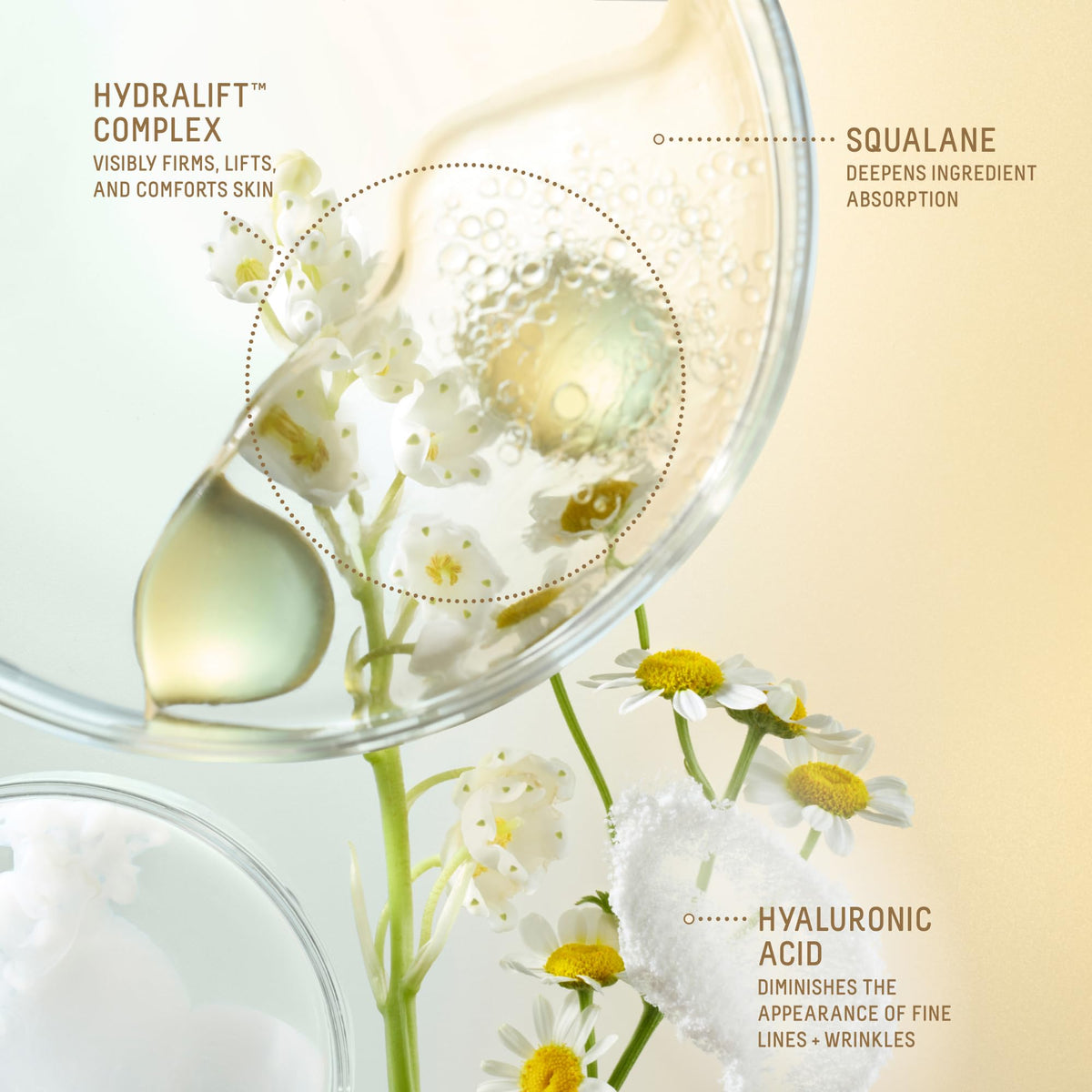 Hyaluronic acid molecular model with BIOSSANCE serum, shows deep hydration benefit