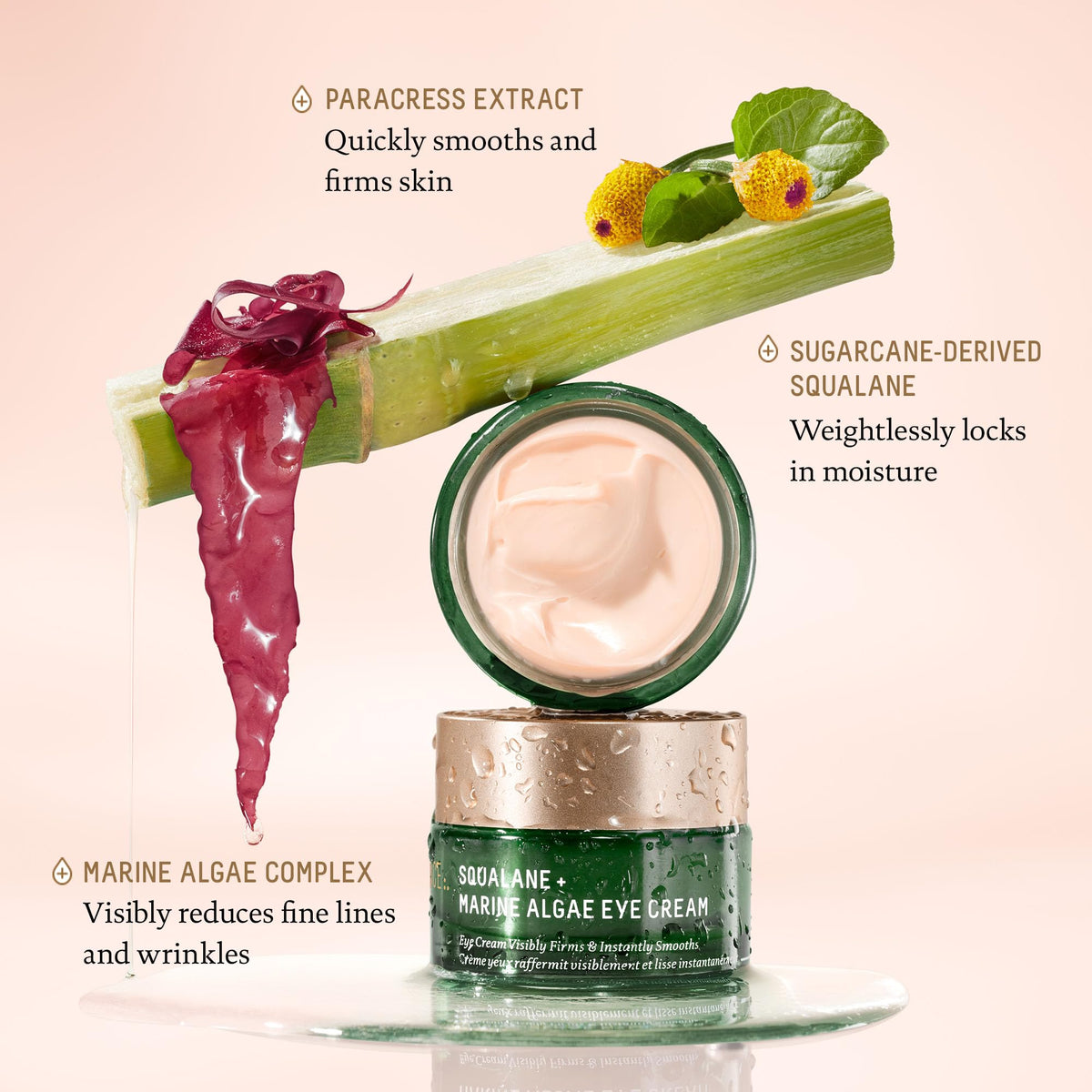 BIOSSANCE pink marine algae close-up emphasizing smoothing and anti-ageing benefit