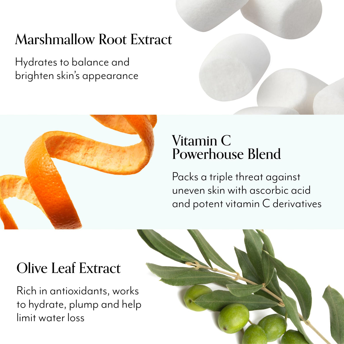 Bliss marshmallow root extract close-up with botanical detail to show moisturizing natural ingredient