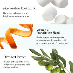 Bliss marshmallow root extract close-up with botanical detail to show moisturizing natural ingredient