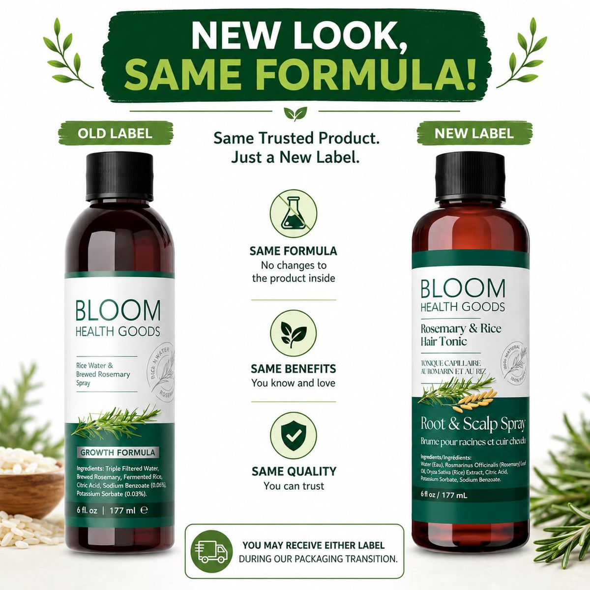 Bloom Health Goods close-up of fresh rosemary steeped in the bottle benefits natural botanicals