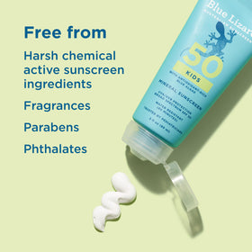 Blue Lizard ingredient label highlighting blue algae and zinc oxide for antioxidant support