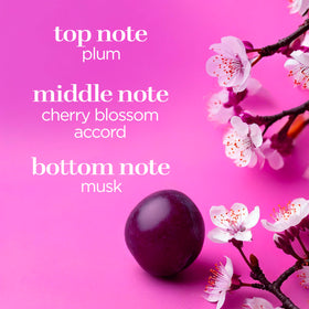 Body Fantasies label close-up highlighting cherry blossom and rose fragrance notes