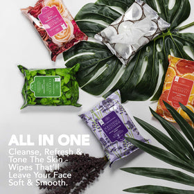 Body Prescriptions ingredients mint, rosehip, vitamin C, lavender, coconut benefits