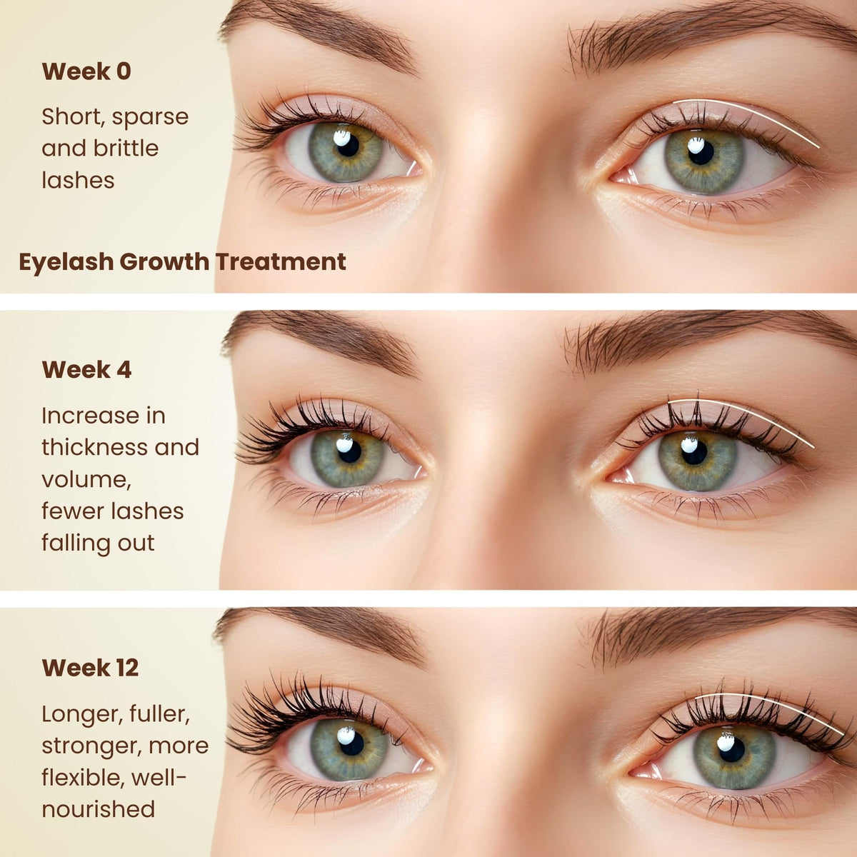 BodyJ4You precision brush applying oil along lash line for even conditioning