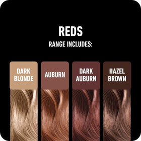 Boldify brush applying powder for precise root coverage benefit