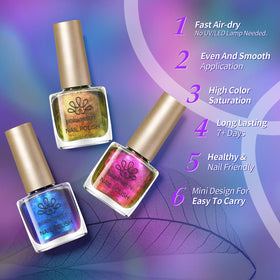 Born Pretty toenail application image showing suitability for toes and nails