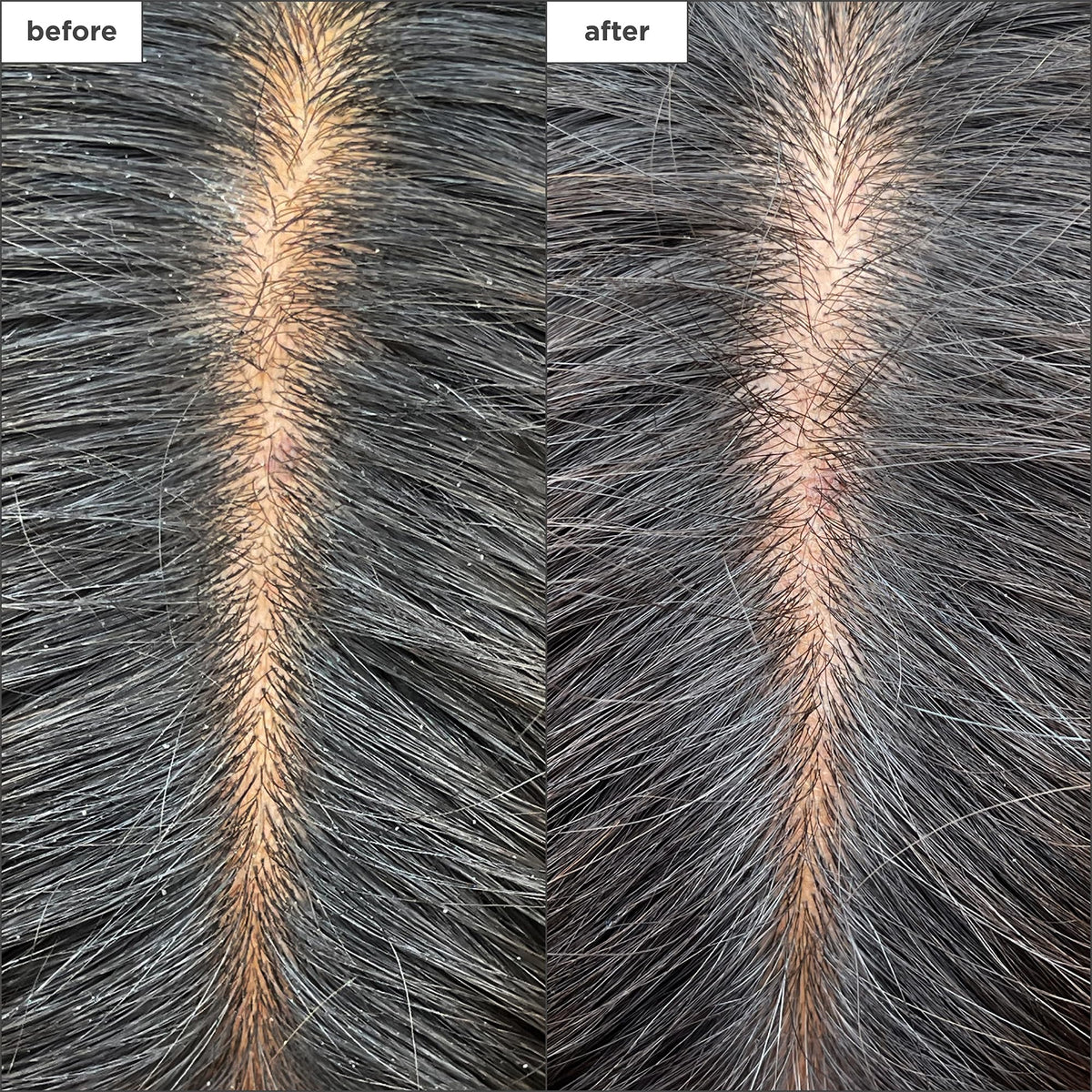 Briogeo charcoal paste detail highlighting binchotan charcoal for clarifying