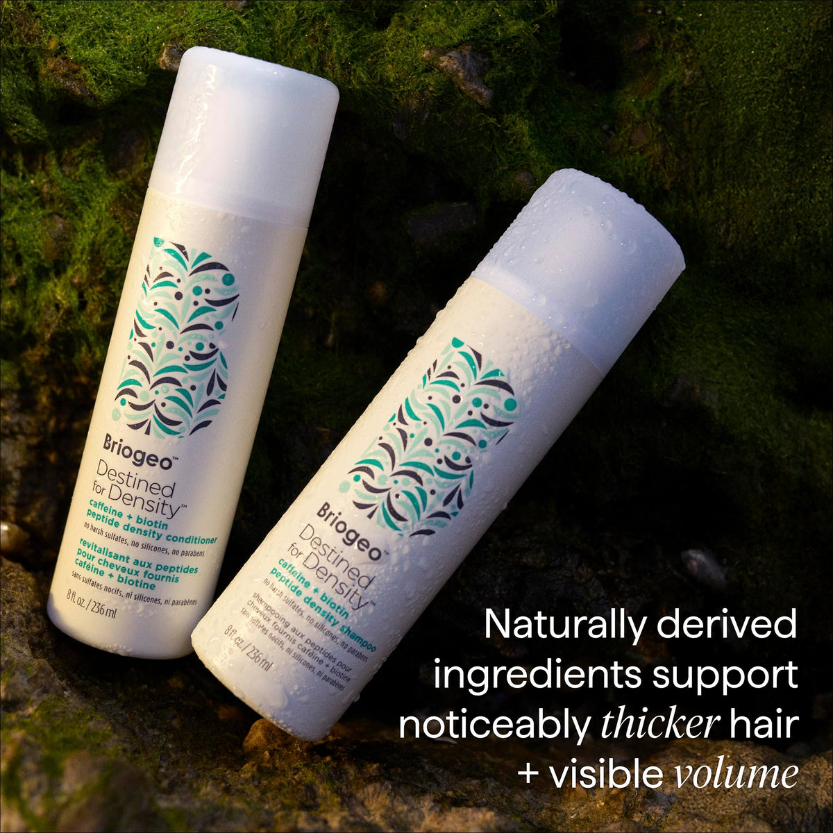 Briogeo before and after hair comparison showing fuller, thicker appearance