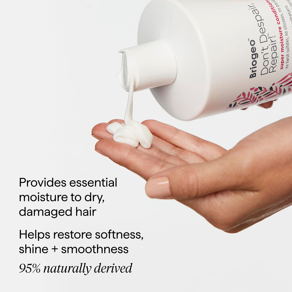 Briogeo rosehip and algae ingredients display highlighting antioxidants