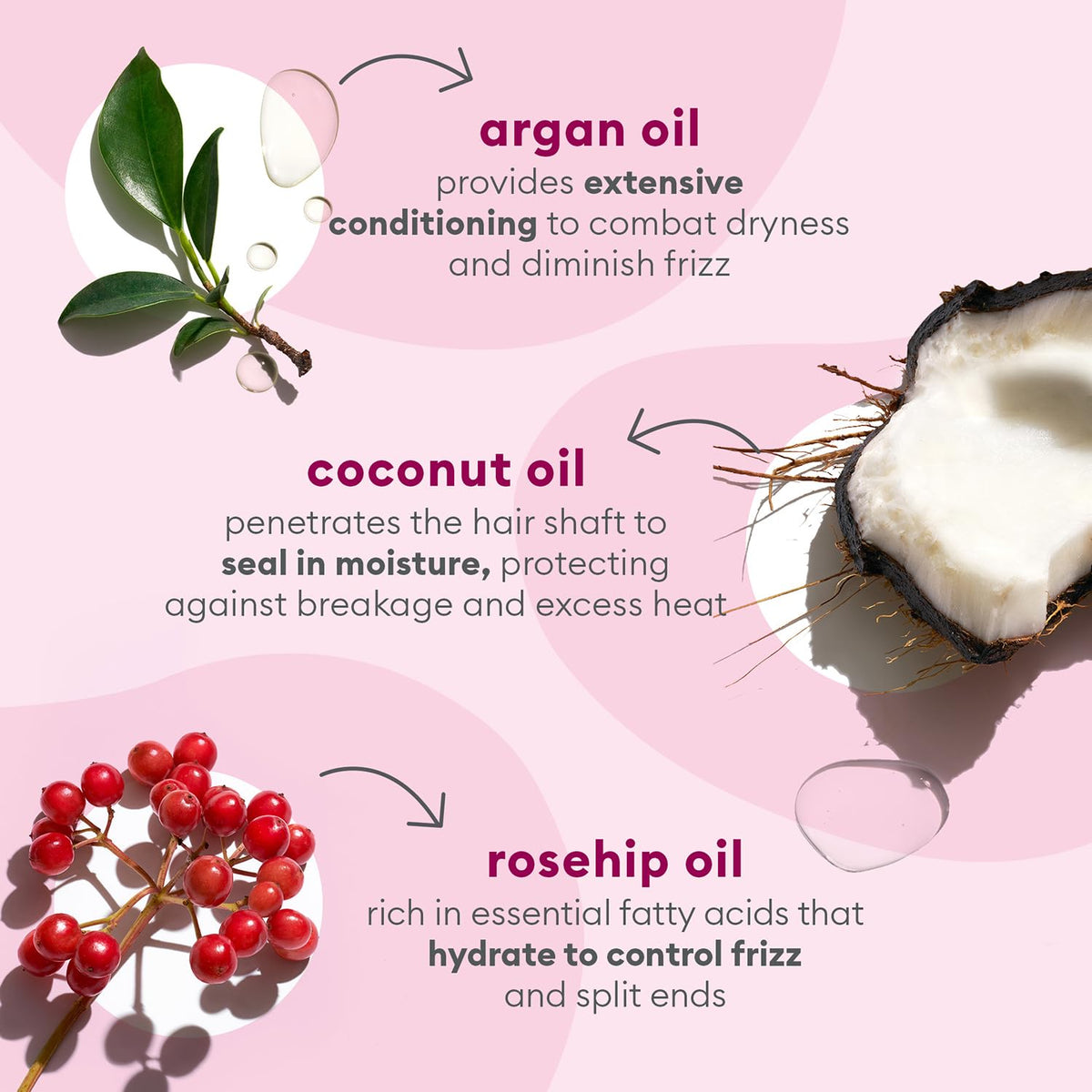 Rosehip, argan, and coconut oils showcase nourishing ingredient benefits