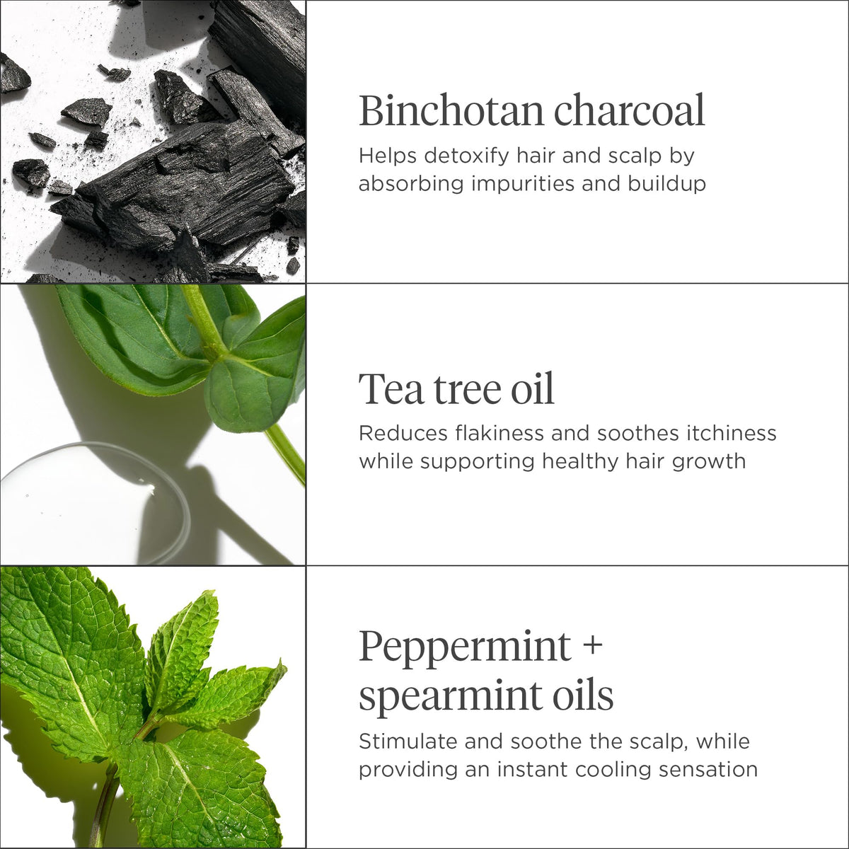 Briogeo product with tea tree and peppermint flatlay indicating refreshing botanicals