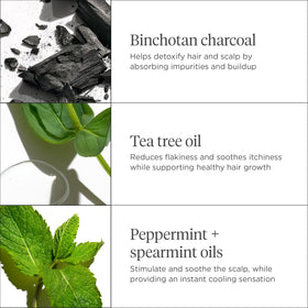 Briogeo product with tea tree and peppermint flatlay indicating refreshing botanicals