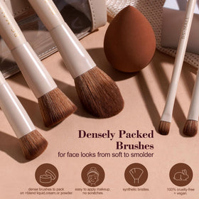 BS-MALL full set laid out to show every brush shape and included sponge