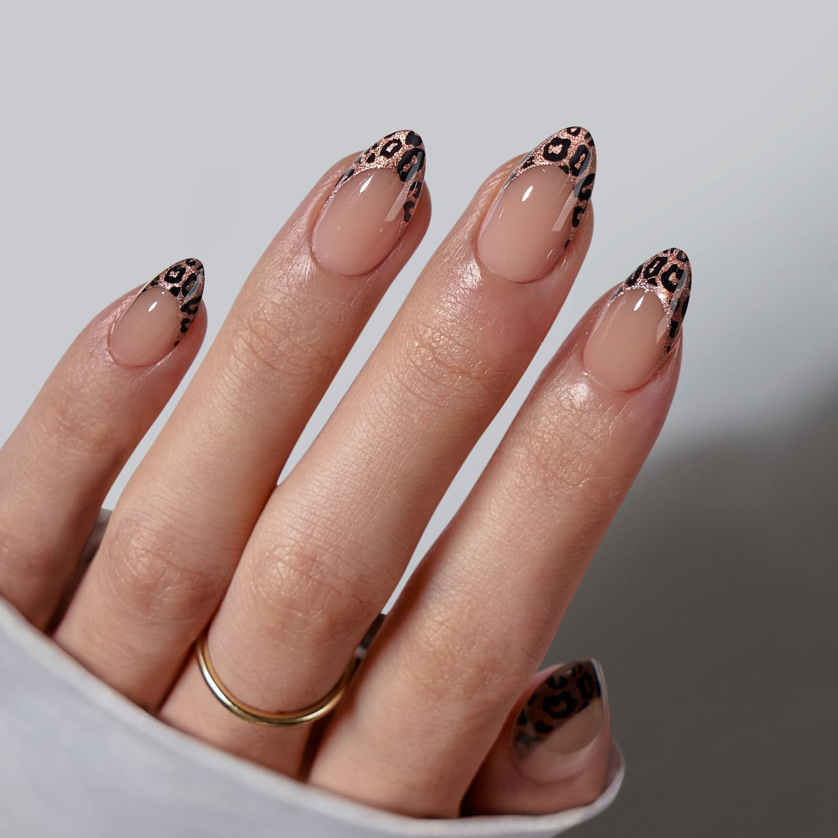 BTArtbox front packaging showing Wild Cheetah nails and included tools for easy at-home use