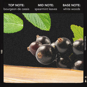 Bumble and bumble ingredient label closeup highlighting scent and formula transparency benefit