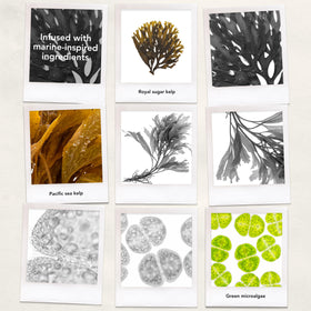 Bumble and bumble seaweed ingredient display with kelp visual emphasizing natural marine nourishment