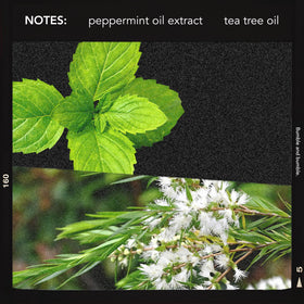 Bumble and bumble botanicals flatlay highlighting tea tree and herbs