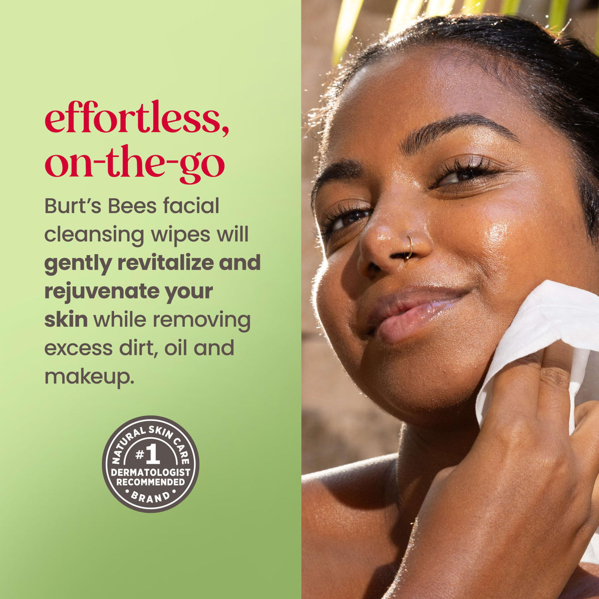 Burt's Bees aloe vera visual highlighting soothing ingredient benefits
