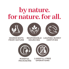 Burt's Bees aloe ingredient beside cream illustrating soothing botanical benefit