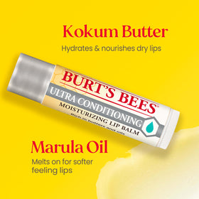 Burt's Bees kokum shea and cocoa butters in bowls showing natural ingredients