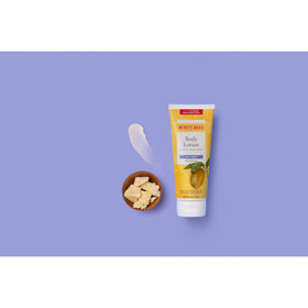 Burt's Bees cocoa and cupuaçu butter ingredients, visual of nourishing botanicals
