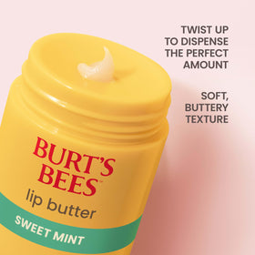 Burt's Bees ingredient display of shea, mango, and beeswax for deep hydration